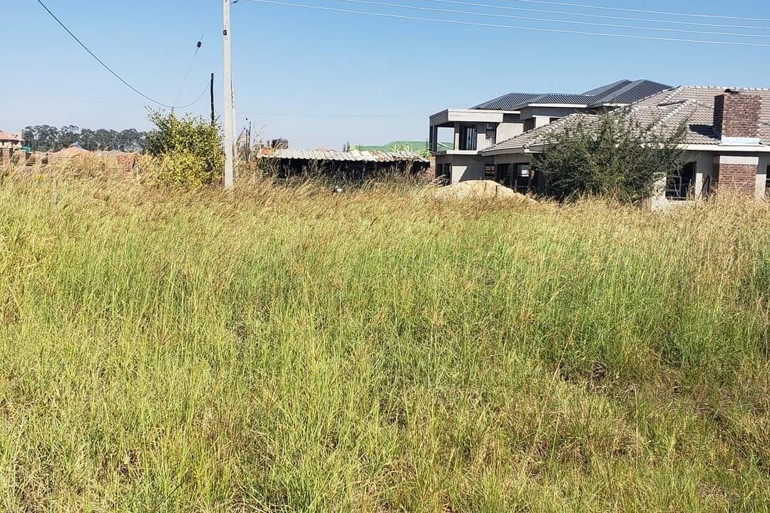 441503793_1269261477858584_8135486767849249207_n