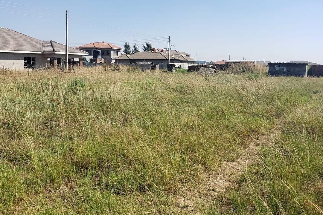 442409170_1269261447858587_3025381260459915454_n