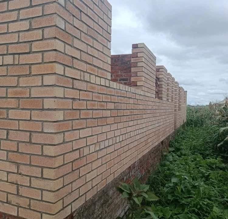 444782791_1268418974609501_6373249608914290748_n