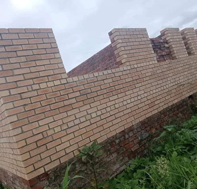 444928301_1268418921276173_731562357162312399_n