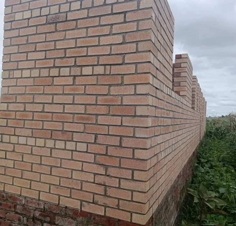 444960169_1268419004609498_1986436501251635704_n