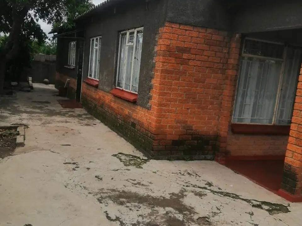 448639113_1283637229754342_5150651621581190776_n