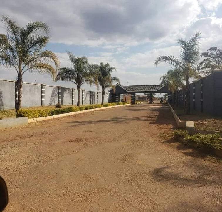 449688973_1292581445526587_6927027426878297013_n