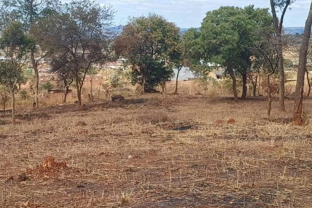 450335988_441466528851146_64972521334787079_n