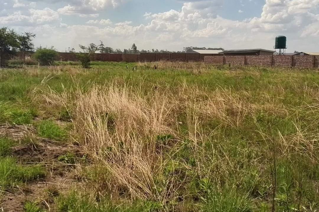 474256443_1158460809615547_3921521122317028492_n