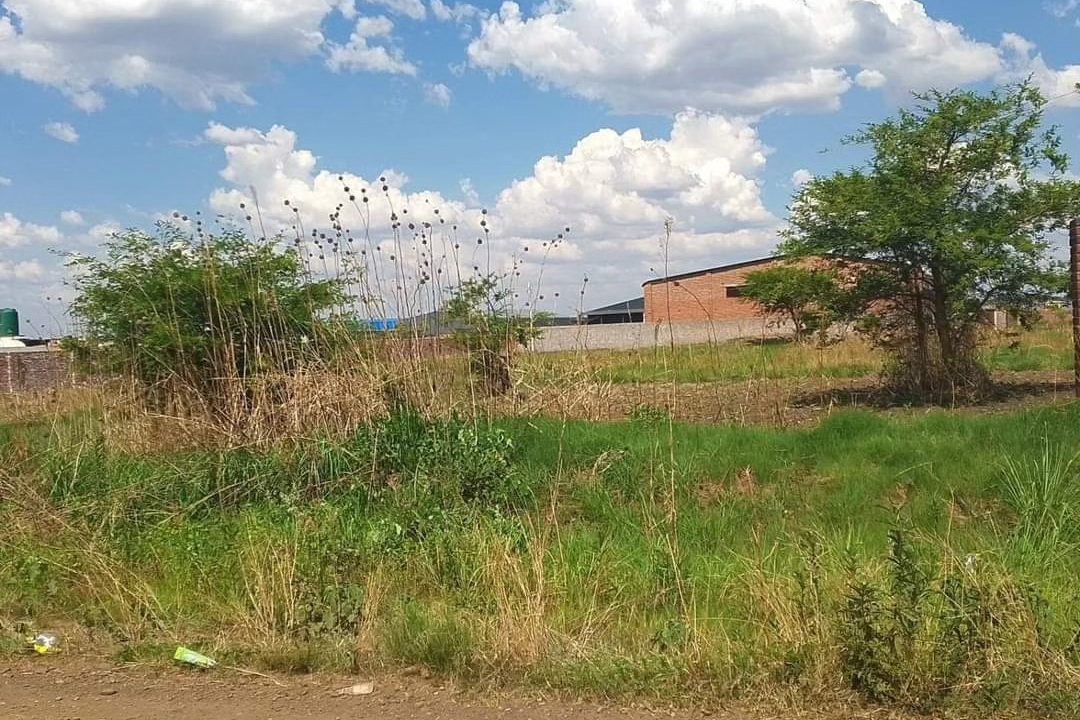 474608932_1158460792948882_1835808709871847753_n