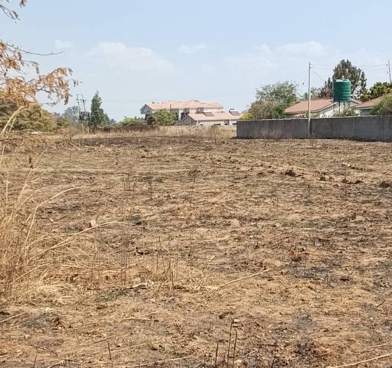 459800499_1347096493408415_7435463797909395833_n