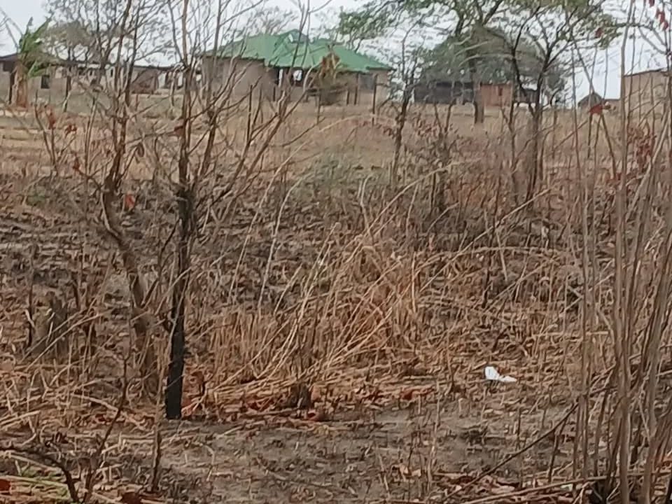 461189331_18033470303224803_4944911512009663836_n