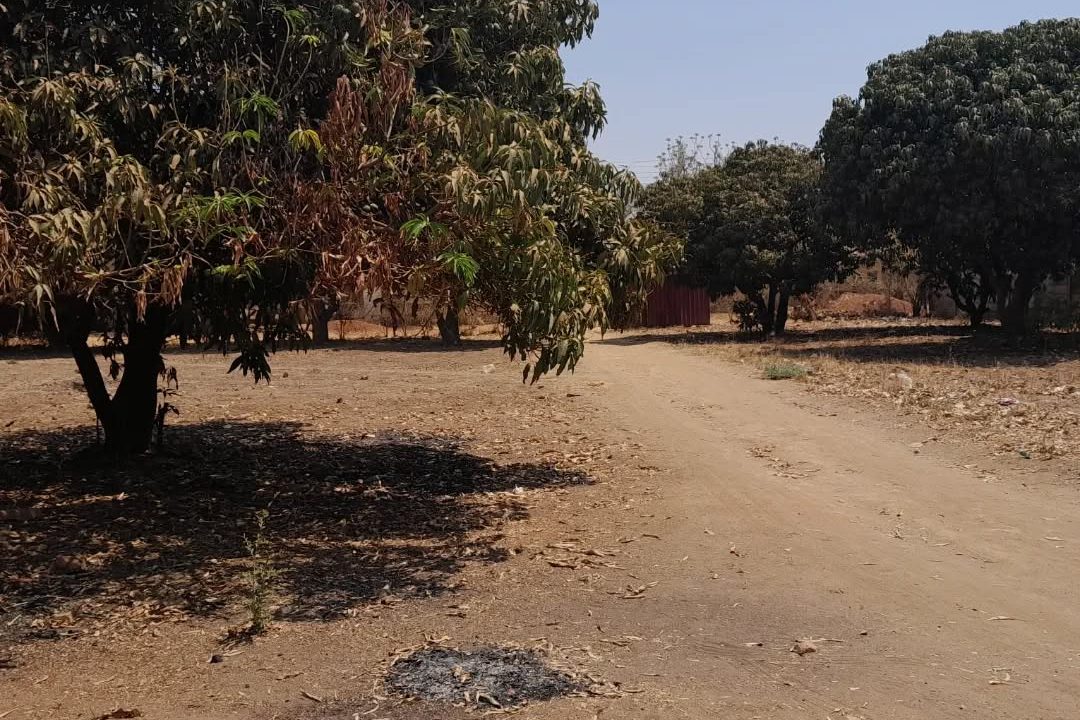 461983524_18034613999224803_4383659076541630681_n