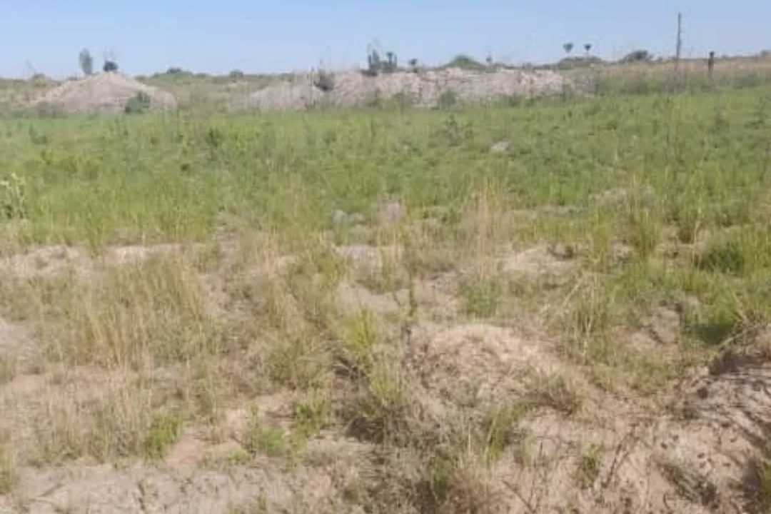 464353728_18036835898224803_5115173970176819241_n