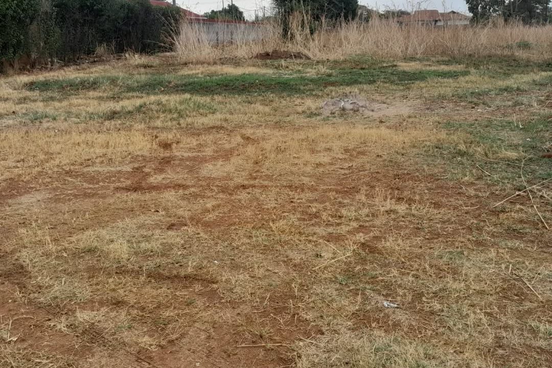 465000334_18037385387224803_3964333646051348703_n