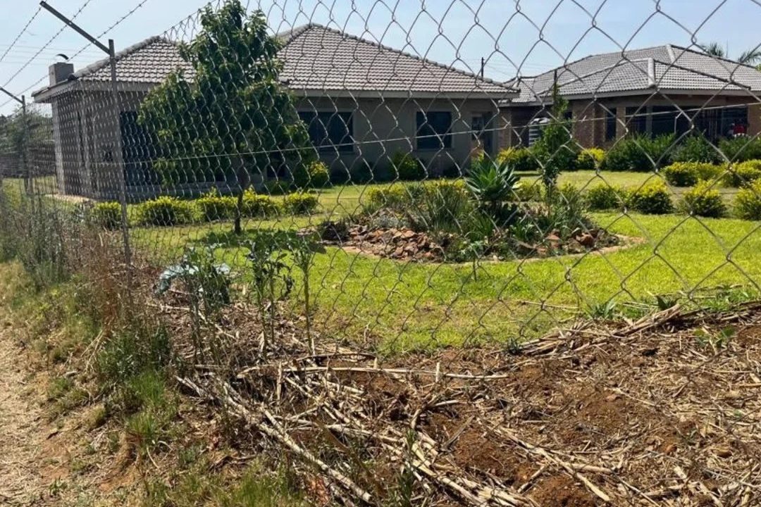 467321836_1109503491177946_3356037318601866802_n