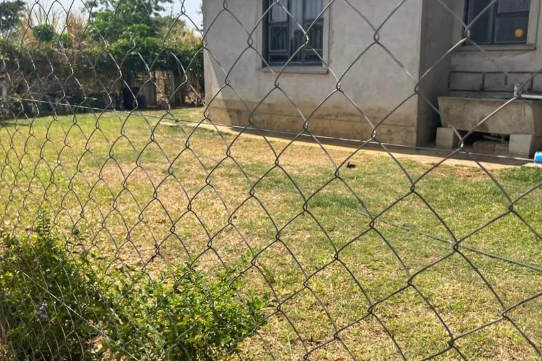 467403161_1109503487844613_5536591030836641331_n