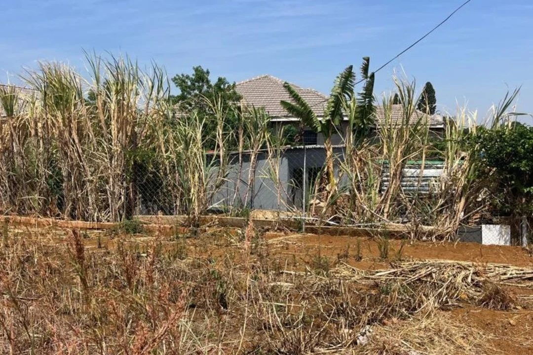 467464888_1109503504511278_4831556846200120819_n