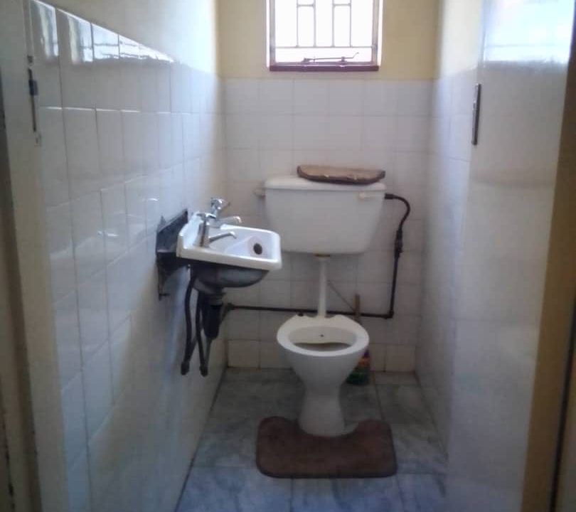 468325265_1402524257865638_7014556763883399166_n