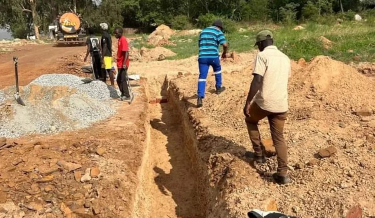 470140636_1128808229247472_790176335744121314_n