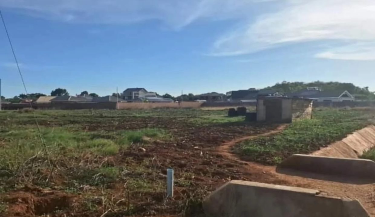 470200116_1131521908976104_8124080569680162126_n