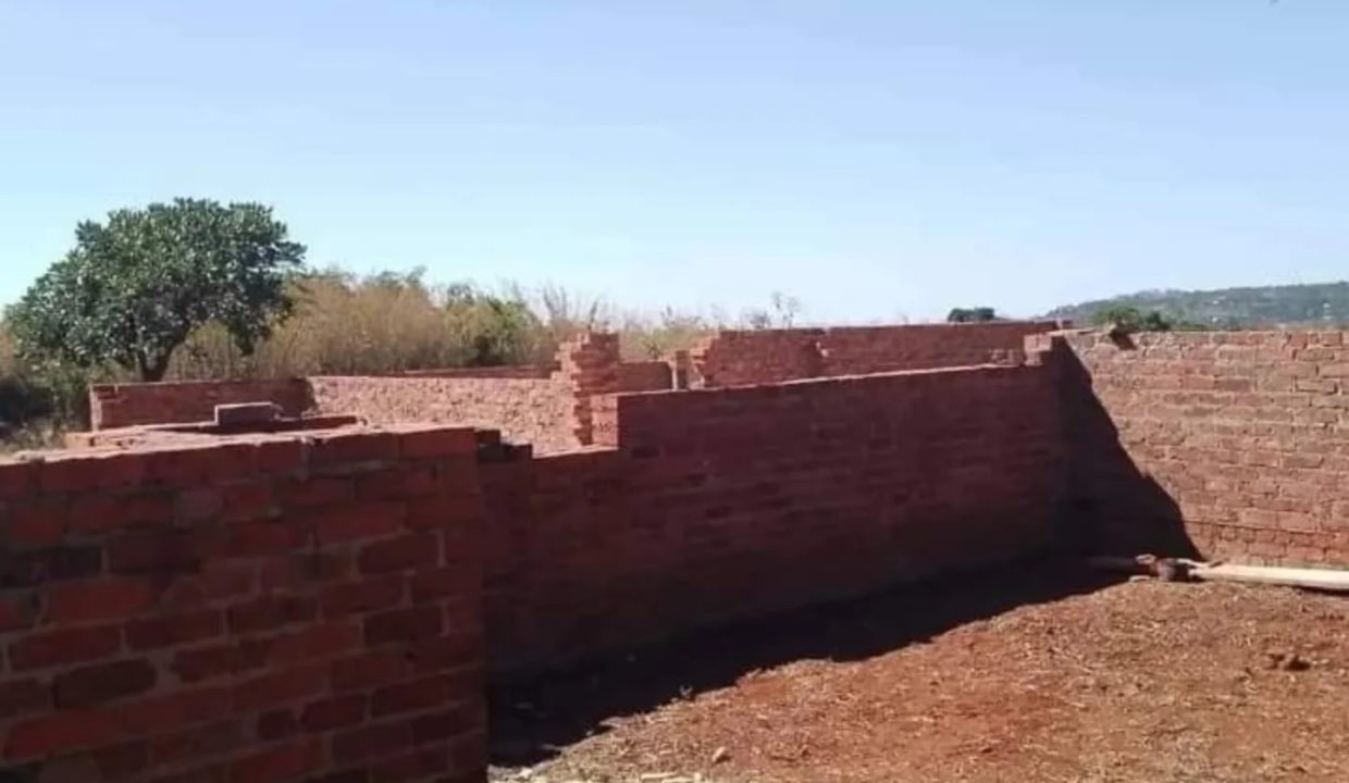 470210127_1131466132315015_893878520872645626_n