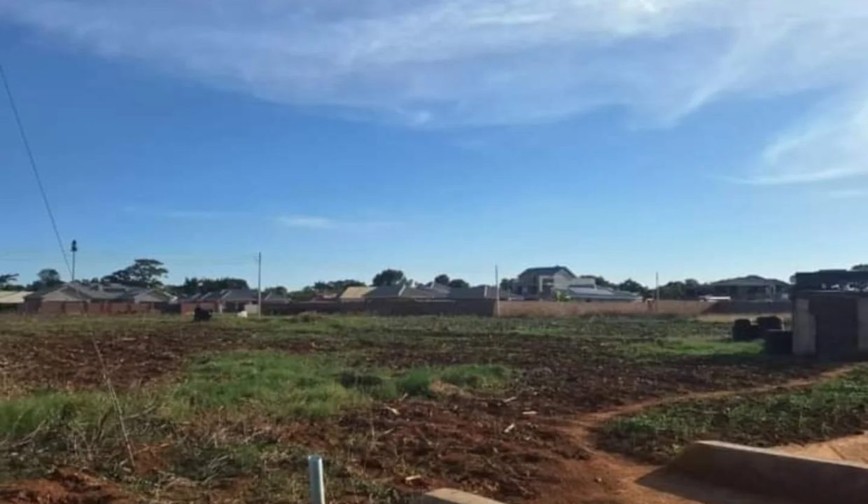 470218894_1131521905642771_5450719026747448387_n