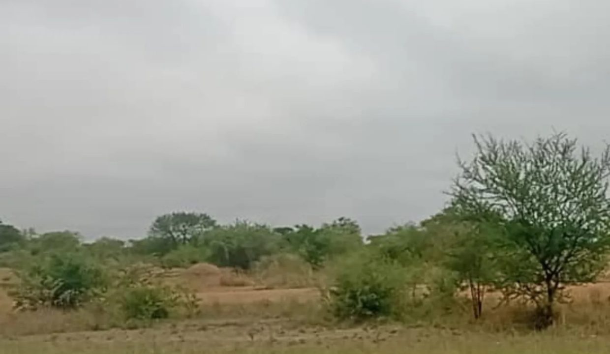 470658613_1421252325992831_2655775147022784839_n