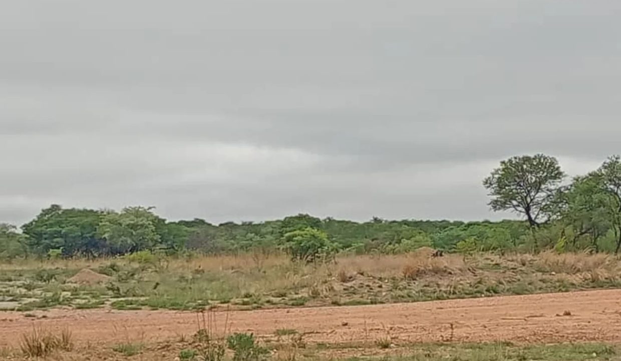 470891600_1421252322659498_4659215299941025673_n