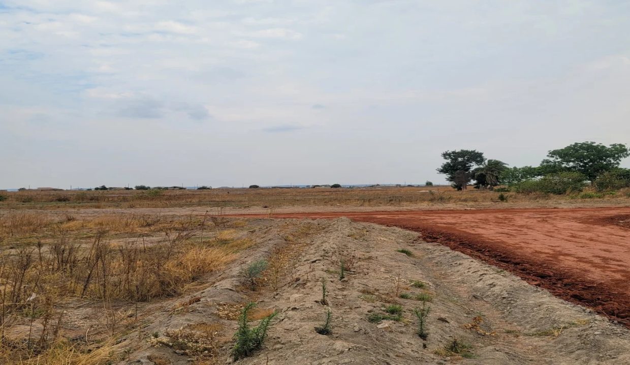 471218168_1136532805141681_762522505561330464_n