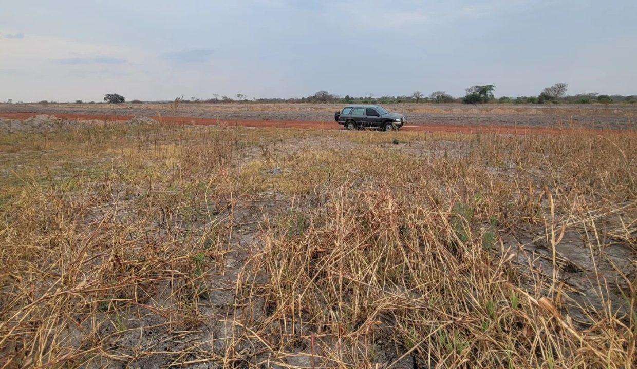 471327727_1136532808475014_835831312255924155_n