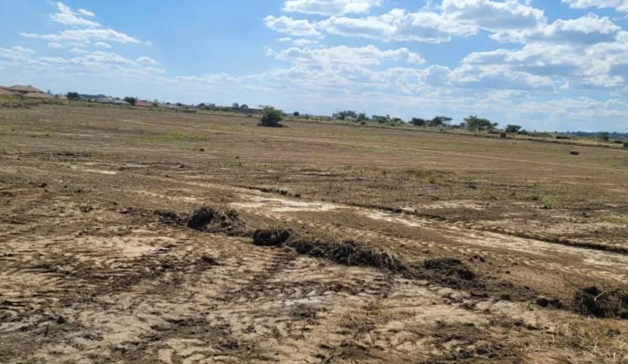 472228019_1148307093964252_7168945317083604098_n