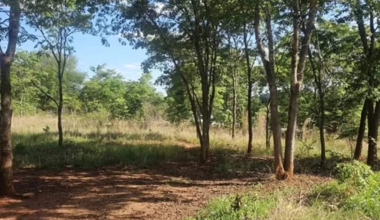 472274820_1147093597418935_4812812784921463430_n