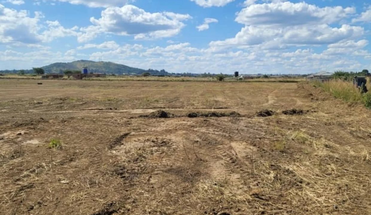 472290248_1148307097297585_4977984532852291894_n