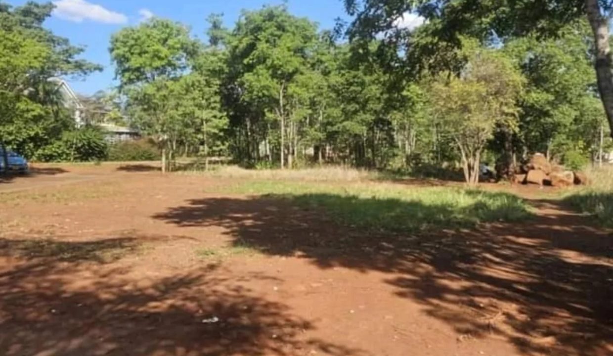 472341950_1147093614085600_361607192754297913_n