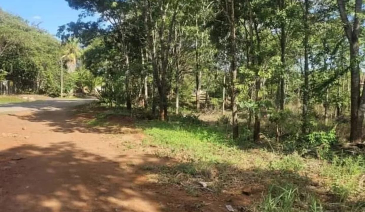 472386742_1147093620752266_389701807676459019_n