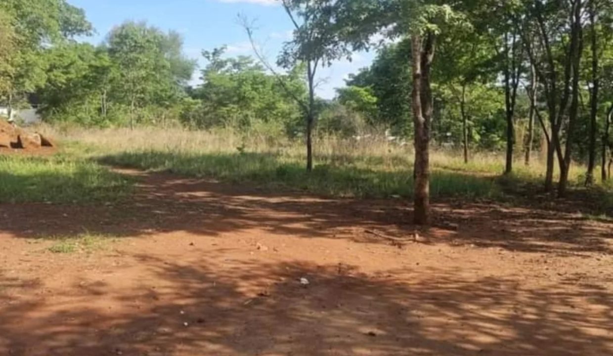 472559707_1147093637418931_8455033896562247910_n