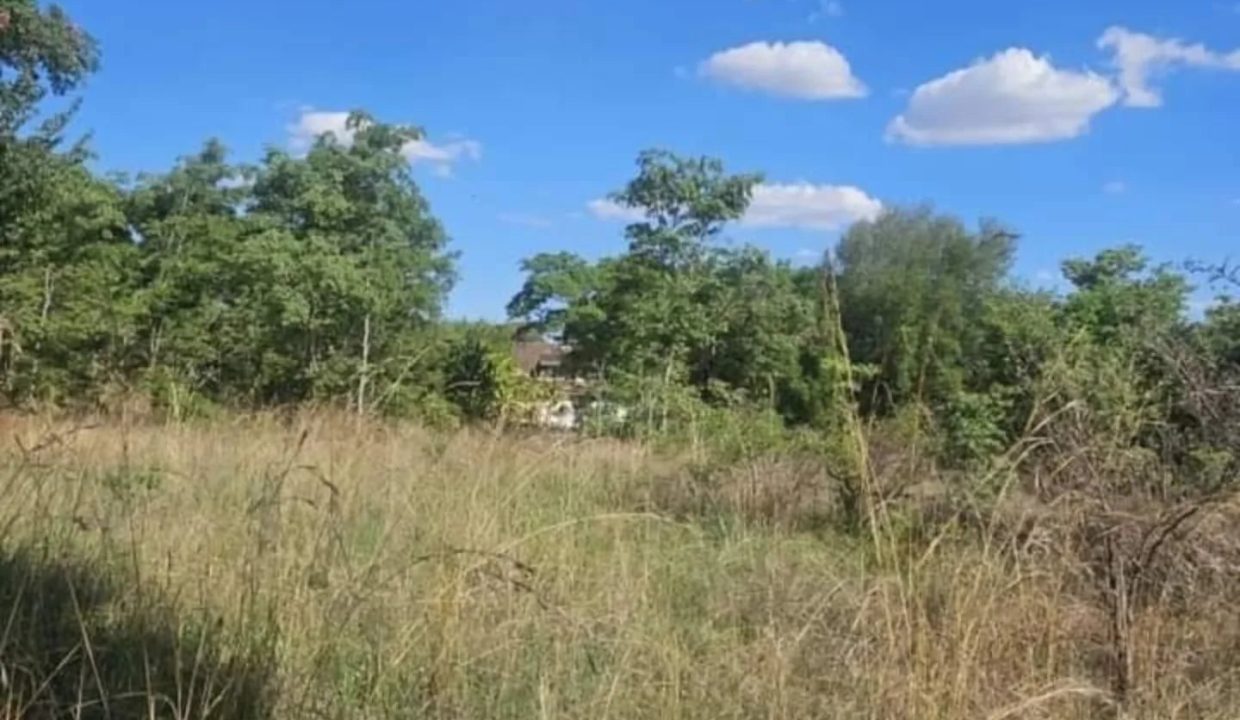 472572043_1147093610752267_7011618175157828863_n