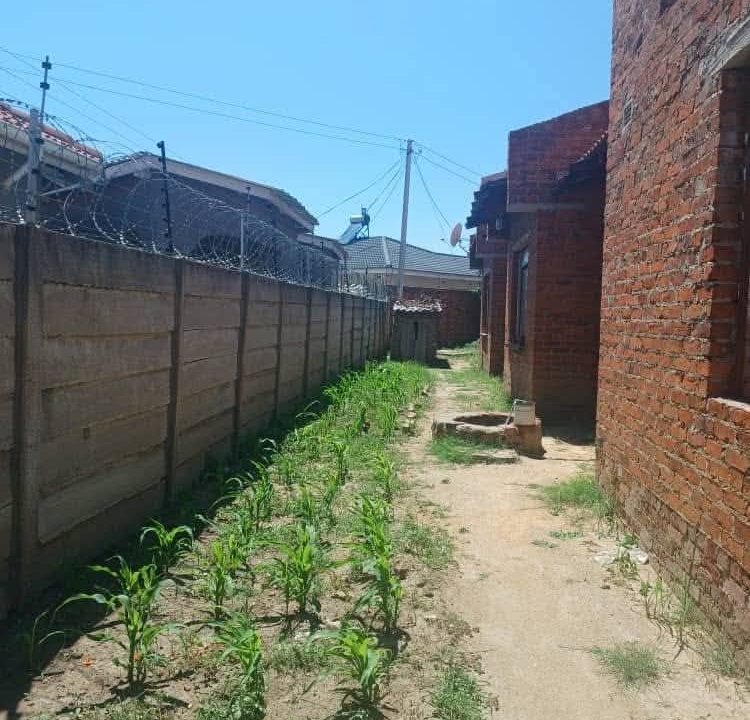 472786875_9072216089525279_6423601078278122498_n