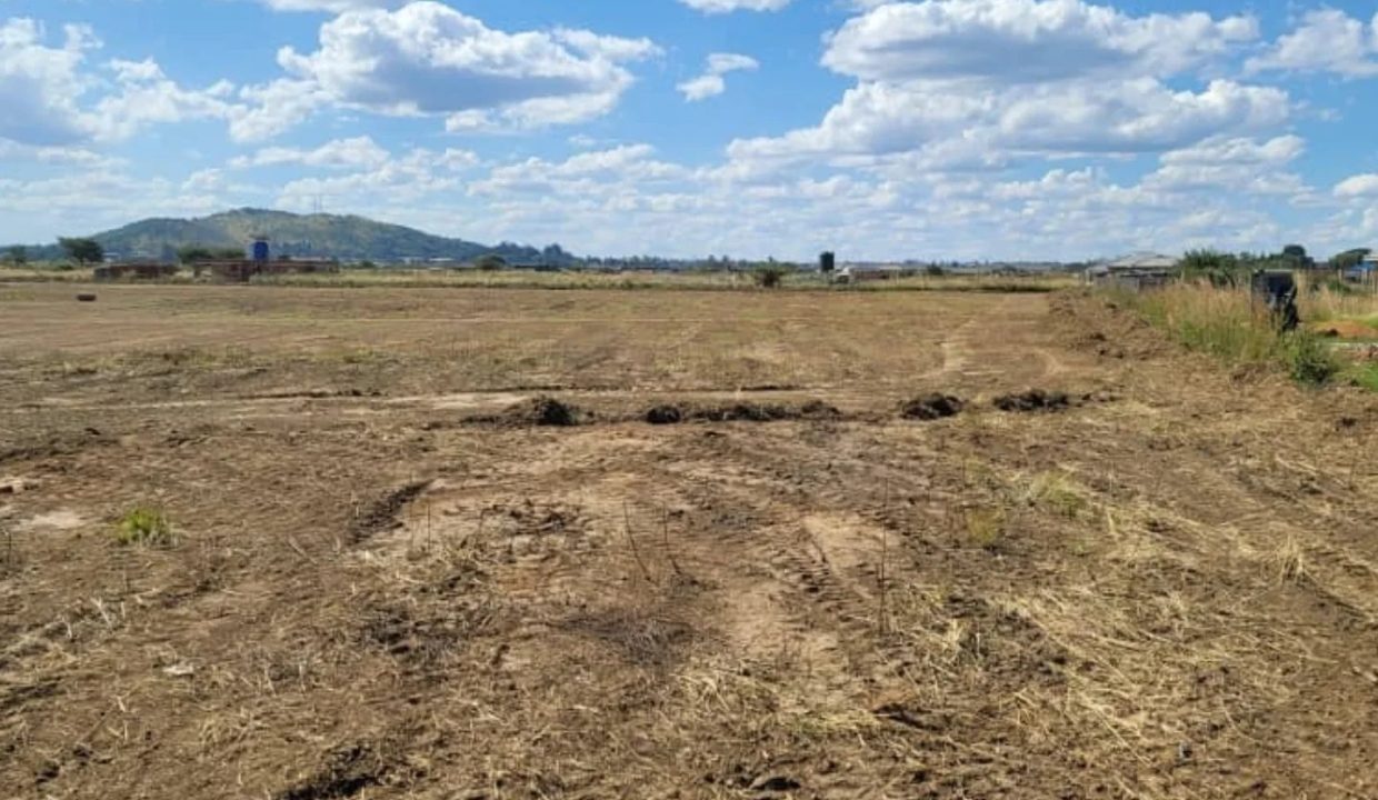 472995467_1148307100630918_744796425873070246_n