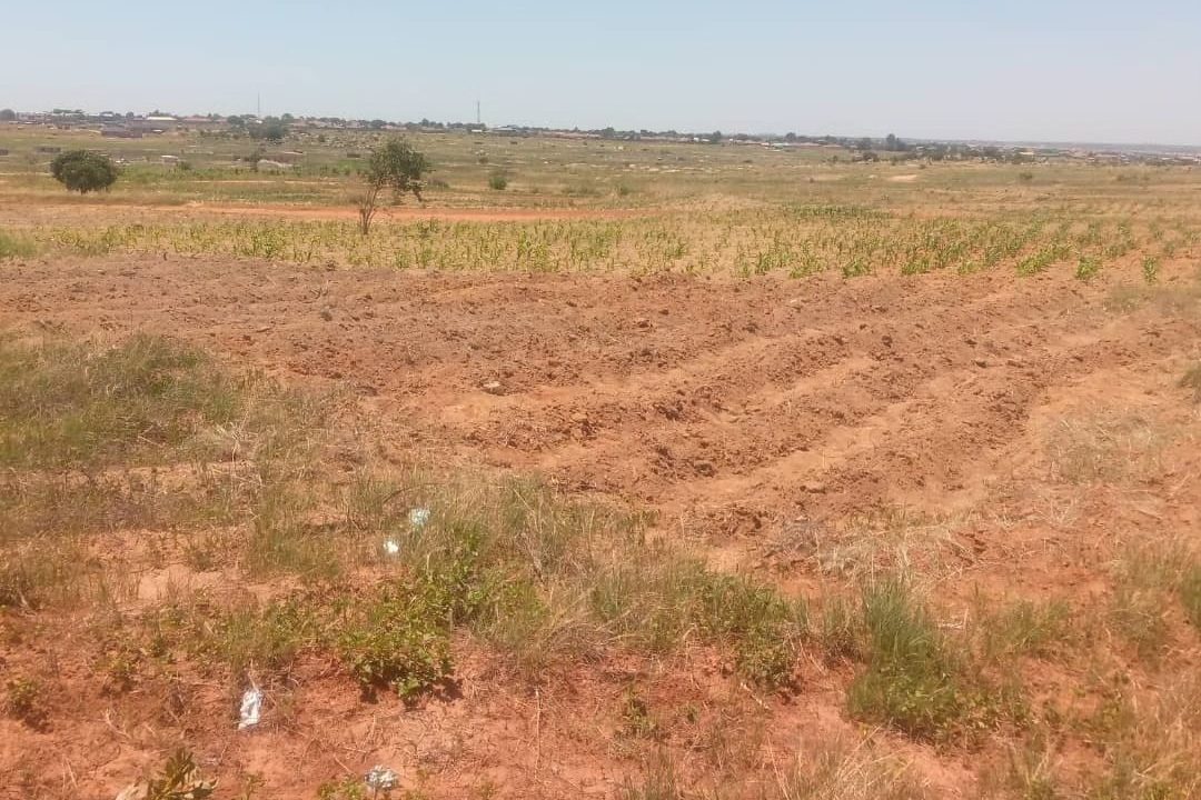 473192383_1440729390711791_6450061874367791028_n