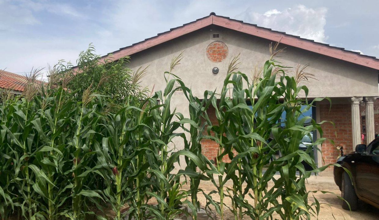 473340826_1439332087518188_2985654467055528644_n