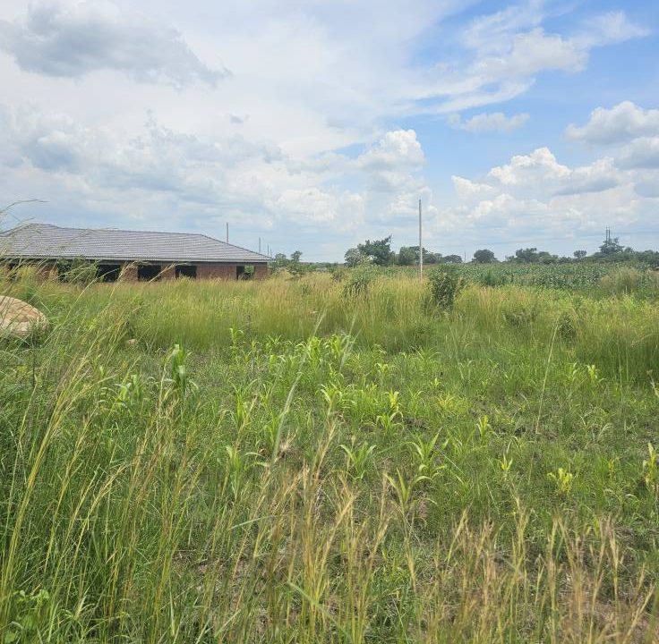 473527444_1020430810102235_2554513641010228147_n