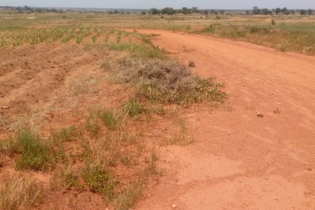 473636780_1440729340711796_7499181058787628200_n