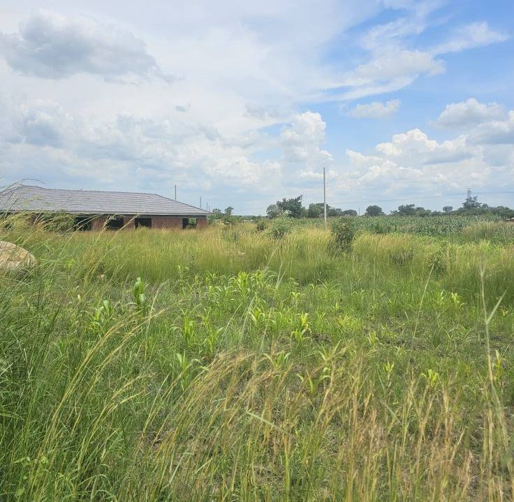 473728002_1020430856768897_3404339575598330179_n