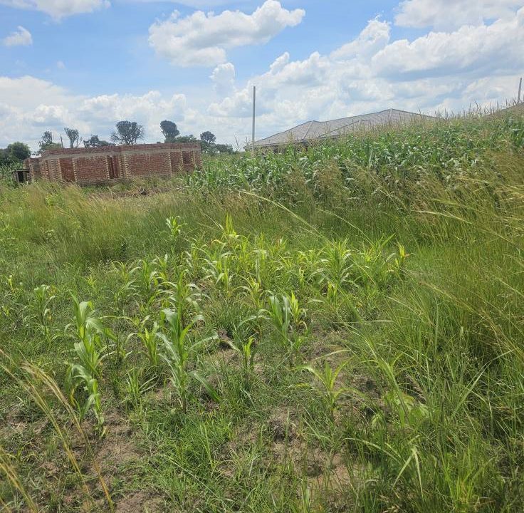 473742448_1020430746768908_5413369724733220786_n