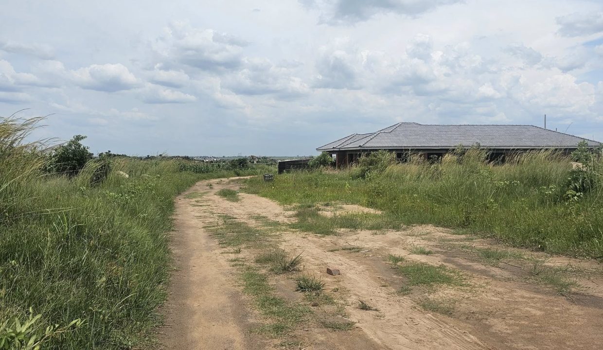 474235938_1020431493435500_3838229897637547794_n