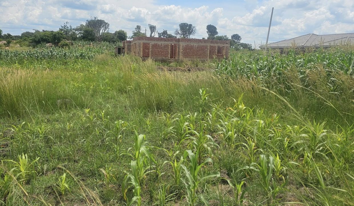 474646411_1020431703435479_5607578042138350095_n