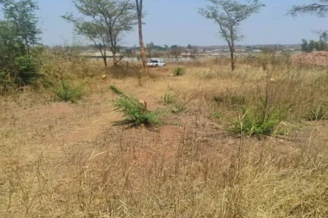 475162846_1165010312293930_2669230185676889652_n