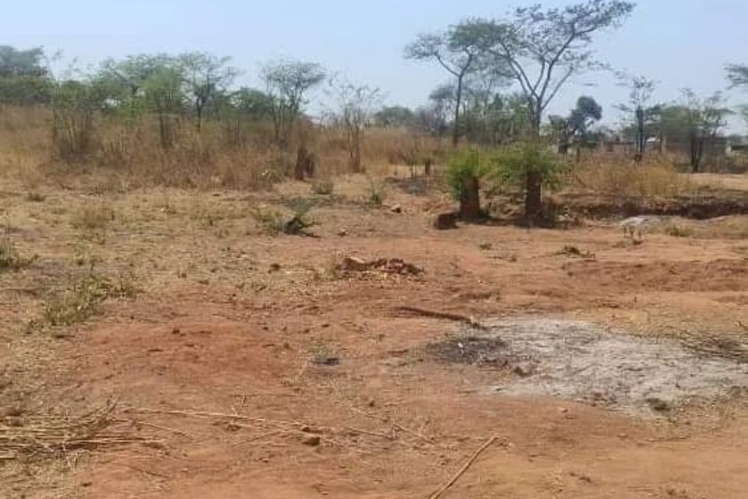 475177043_1165010322293929_1164305870973331398_n