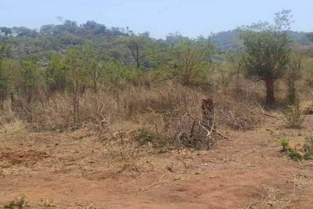 475223784_1165010305627264_8222477439445027234_n