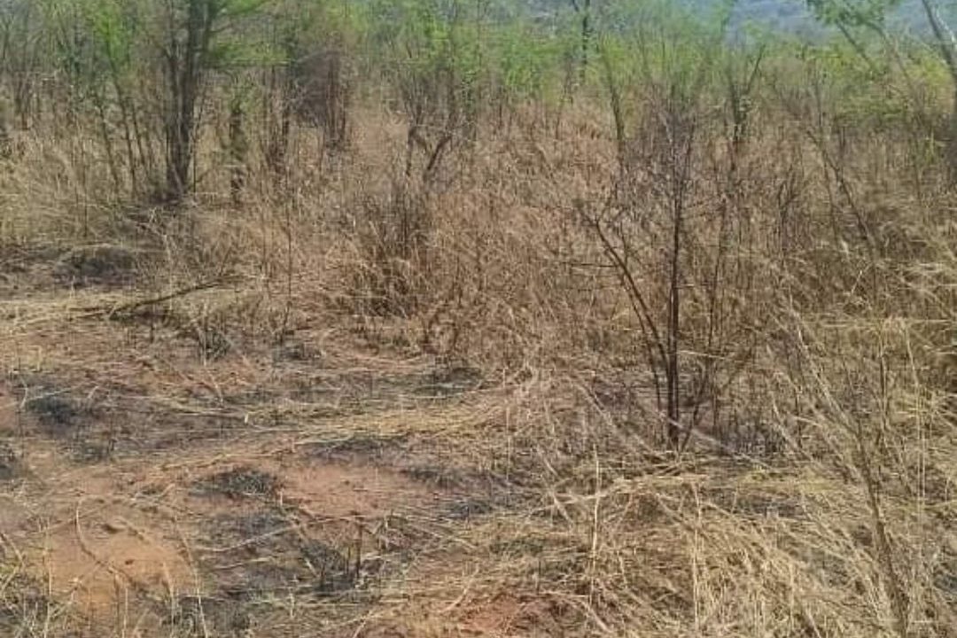 475268773_1165010332293928_5803724243339551189_n